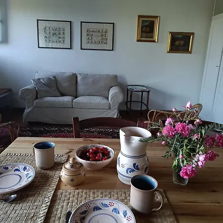 Cozy * LʼOpaco